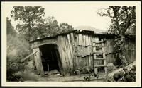 American Women's Hospitals Service photo of wooden building with a ladder (photograph), circa 1930<blockquote class="juicy-quote">A seemingly unstable but inhabited wooden home in the mountainous Applachian region of the United States.</blockquote><div class="view-evidence"><a href="https://doctress.org/islandora/object/islandora:1859/story/islandora:2085" class="btn btn-primary custom-colorbox-load"><span class="glyphicon glyphicon-search"></span> Evidence</a></div>